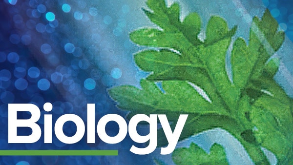 ib生物怎么提高？注意這些學習方法！