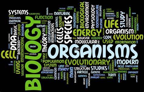 生物IB輔導:如何有技巧的去學習?