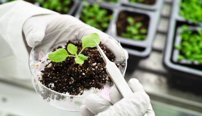 IB生物考試實驗題部分該注意什么?