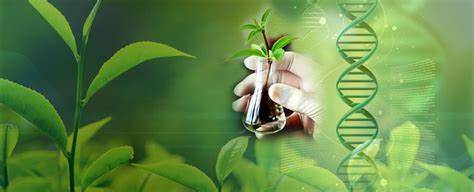 IB生物考試內容解析,主要涉及哪些知識點?