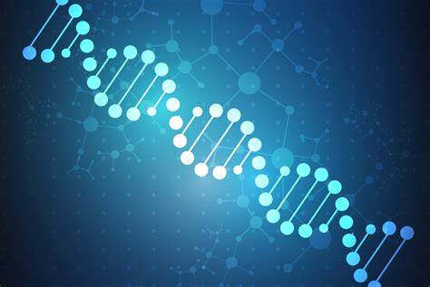 IB生物考點(diǎn)內(nèi)容總結(jié),如何考核?