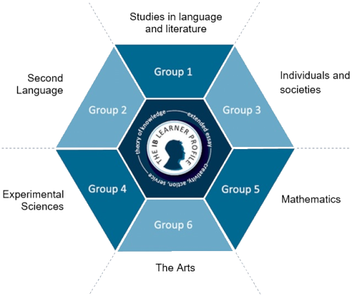 IB課程HL和SL怎么選對(duì)自己最有利?